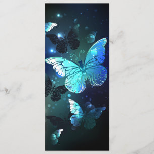 Fluttering Night Butterfly Programme