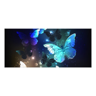 Fluttering Night Butterfly Rack Card