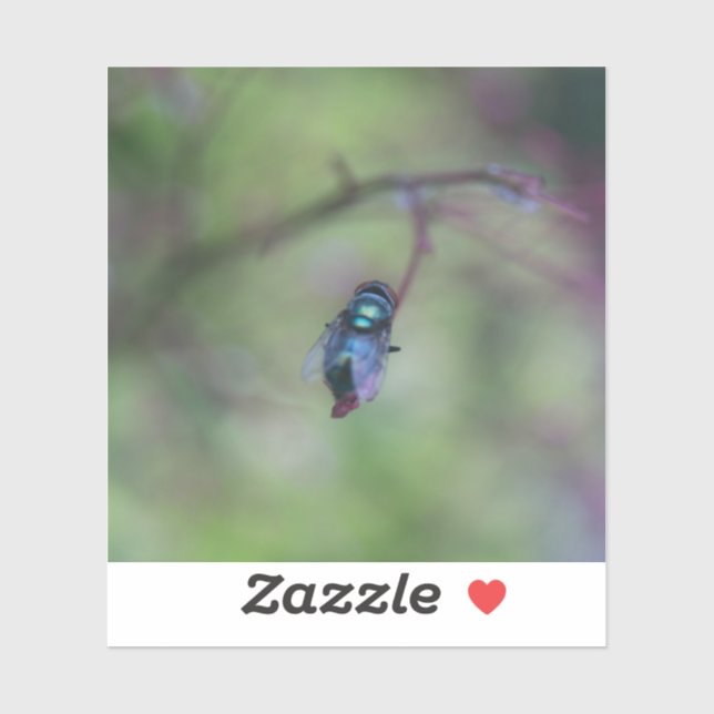 Fly  (Sheet)