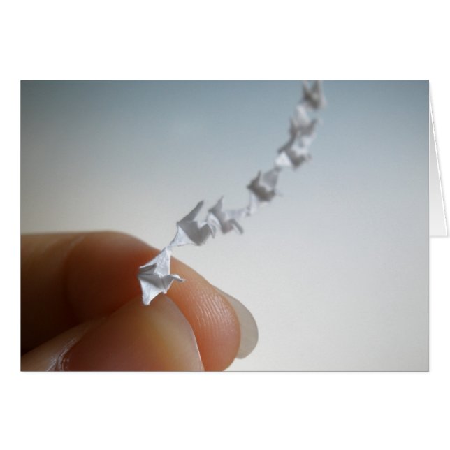 Fly (Front Horizontal)