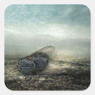 Fly 2013 square sticker