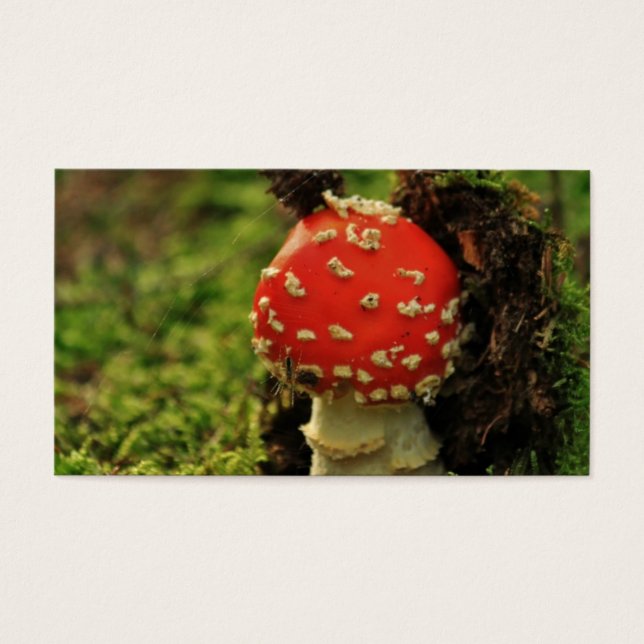 Fly Agaric (Front)