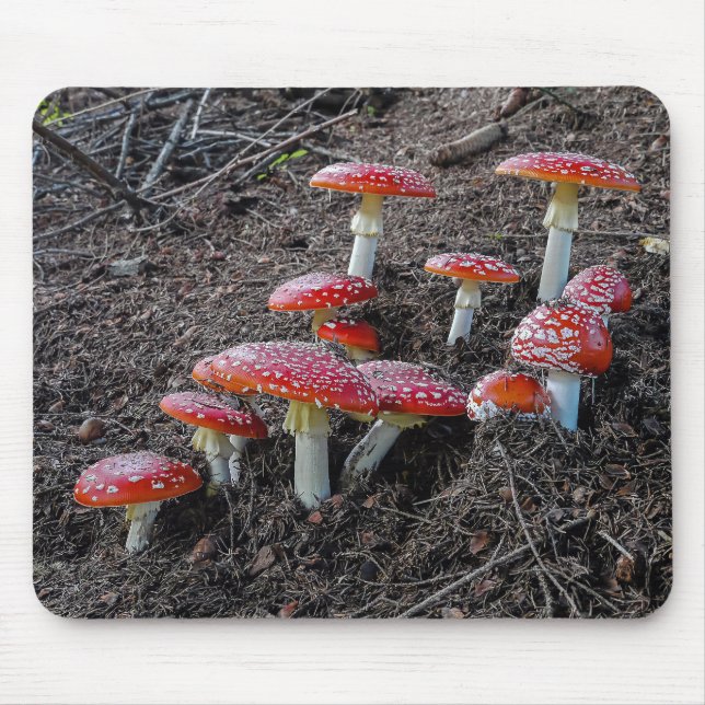 Fly agaric mouse mat (Front)