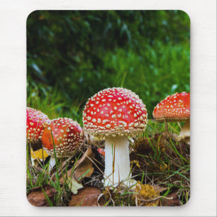Fly agaric mouse mat