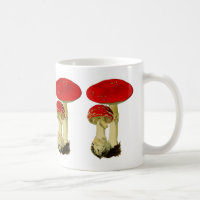 Fly agaric mushroom