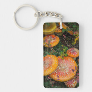 Fly agaric mushrooms at Mowich Lake Key Ring