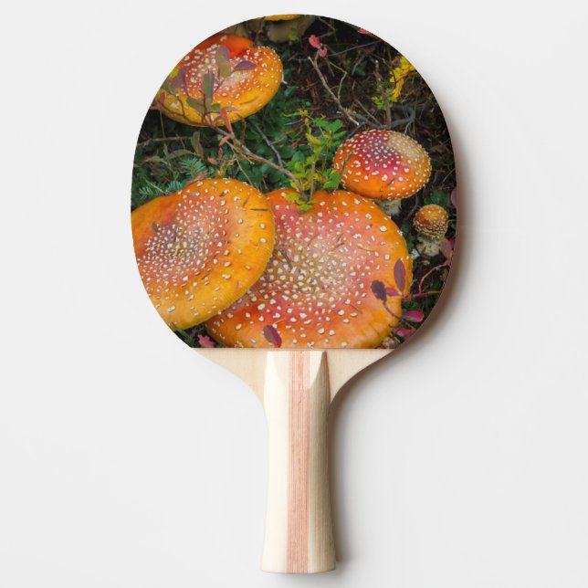 Fly agaric mushrooms at Mowich Lake Ping Pong Paddle (Front)
