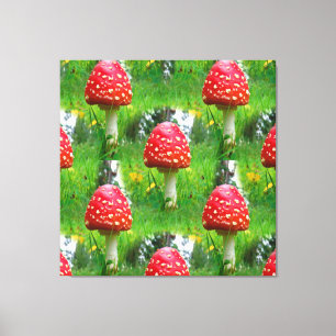 Fly Agaric Mushrooms Canvas Print