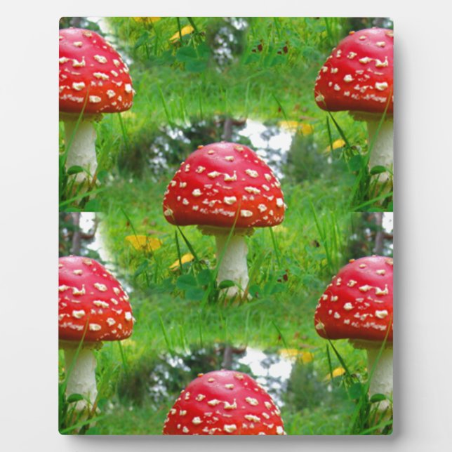 Fly Agaric Mushrooms Plaque (Front)