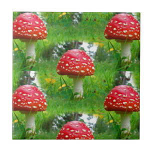 Fly Agaric Mushrooms Tile
