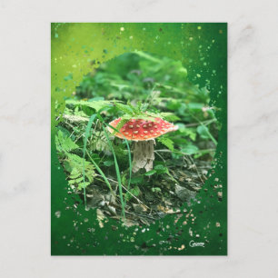 Fly Agaric - Postcard