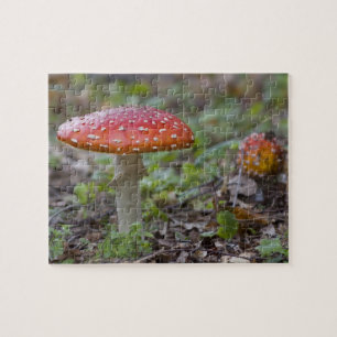 Fly Agaric Toadstool Jigsaw Puzzle