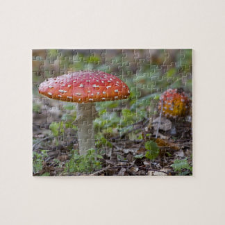 Fly Agaric Toadstool Jigsaw Puzzle