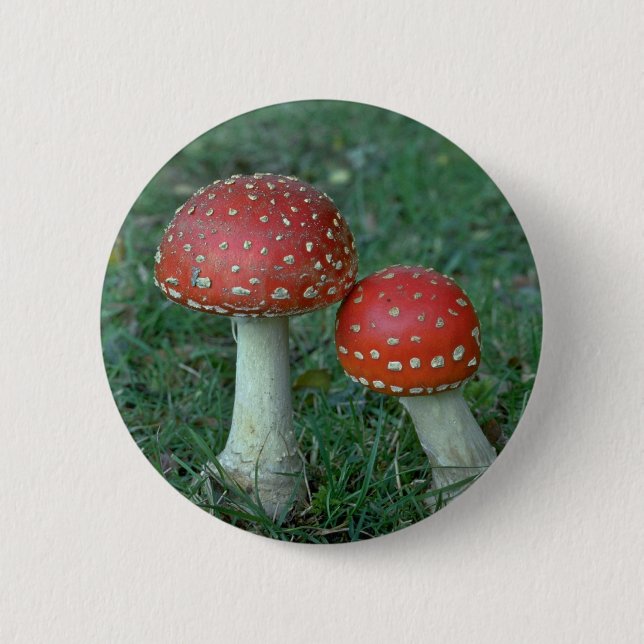 Fly agarics (Amanita muscaria) 6 Cm Round Badge (Front)