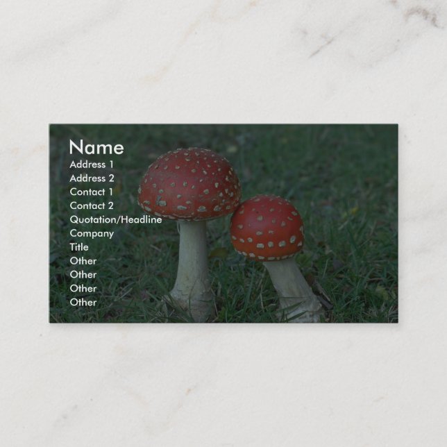 Fly agarics (Amanita muscaria) Business Card (Front)