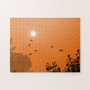 Fly at dawn Puzzle