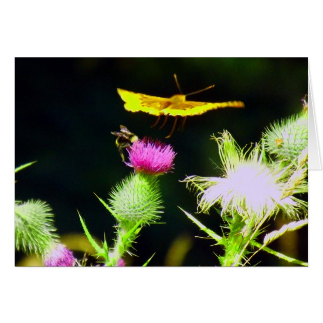 Fly Away (Front Horizontal)