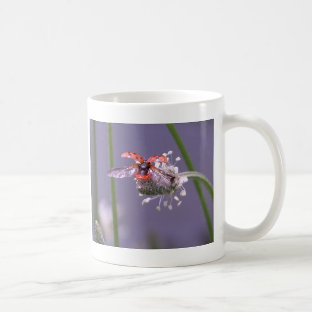 Fly away home coffee mug (Right)