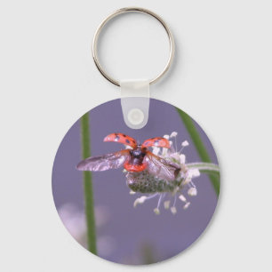 Fly away home key ring