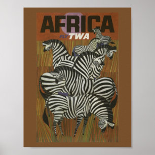 Fly Away to Africa Poster