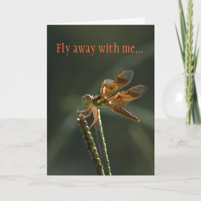 Fly Away with me Dragonfly Valentine Holiday Card (Front)