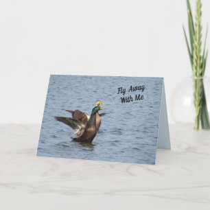 Fly Away With Me - Mallard Duck Valentines Card