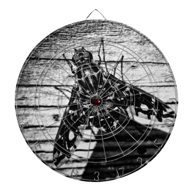 fly back dartboard (Front)