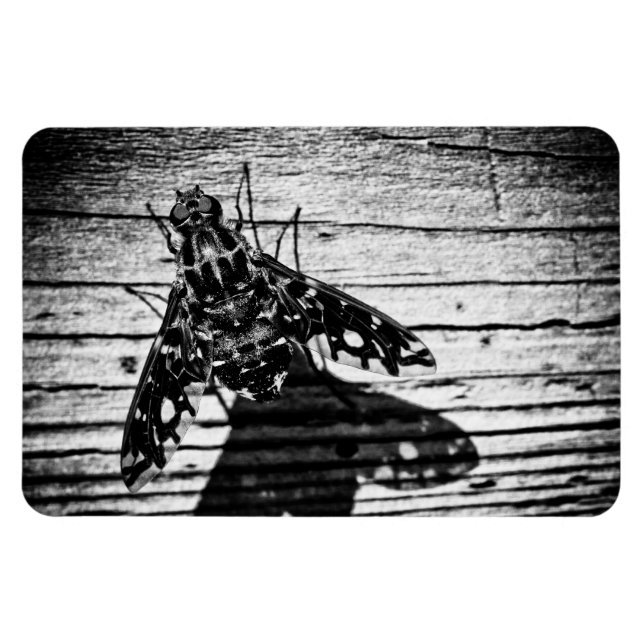 fly back magnet (Horizontal)