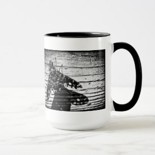 fly back mug