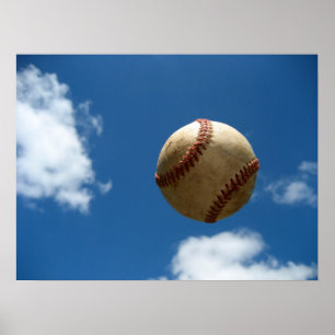 Fly Ball Poster