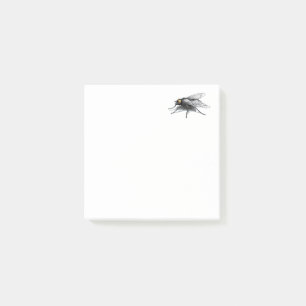 Fly Buddy 3x3 Post-it Note pads