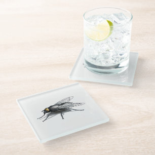 Fly Buddy giant fly clear glass coaster