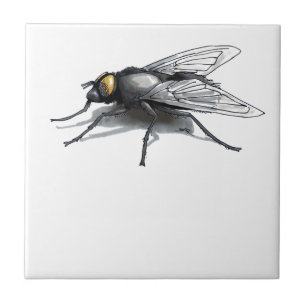 Fly Buddy giant fly small tile