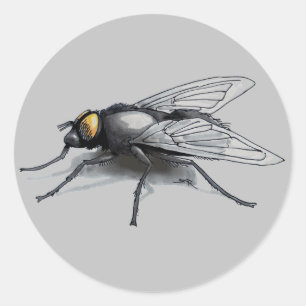 Fly Buddy grey large round stickers