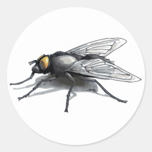 Fly Buddy white large round stickers