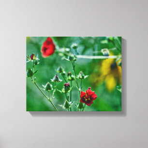 Fly-By in the Garden Canvas Print