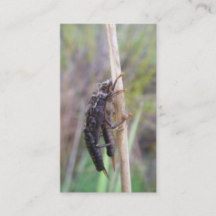 Fly fishing guide card