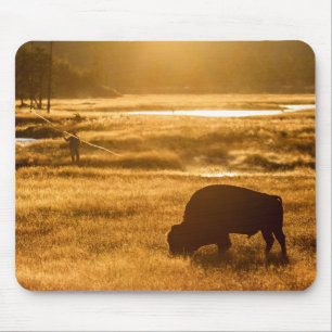 Fly fishing in Yellowstone Mouse Mat