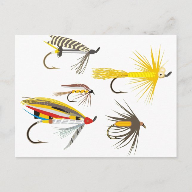 Fly Fishing Lures Postcard (Front)