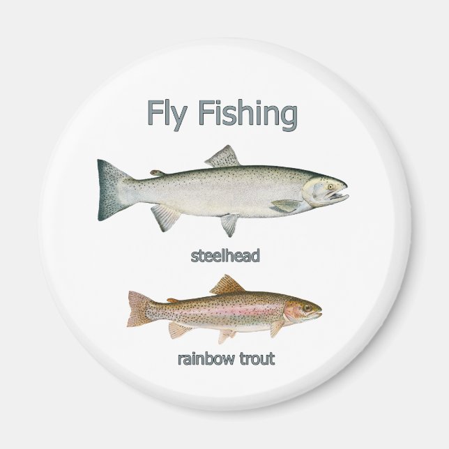 Fly Fishing Rainbow Trout - Steelhead Magnet (Front)