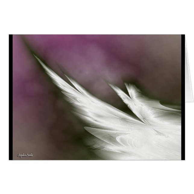 fly for peace! (Front Horizontal)