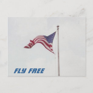 Fly Free USA Flag - postcard