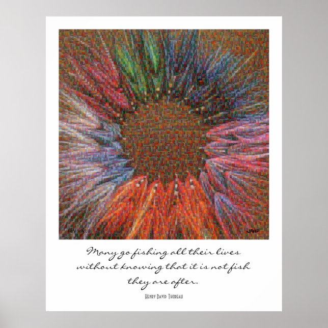 Fly Halo Montage Poster (Front)