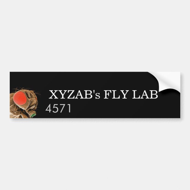 FLY LAB BUMPER STICKER (Front)