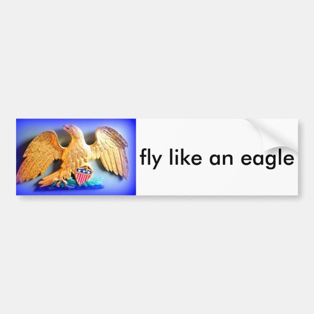 fly like an eagle bumper sticker (Front)