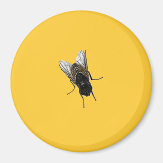 fly magnet