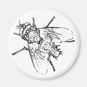 Fly Magnet