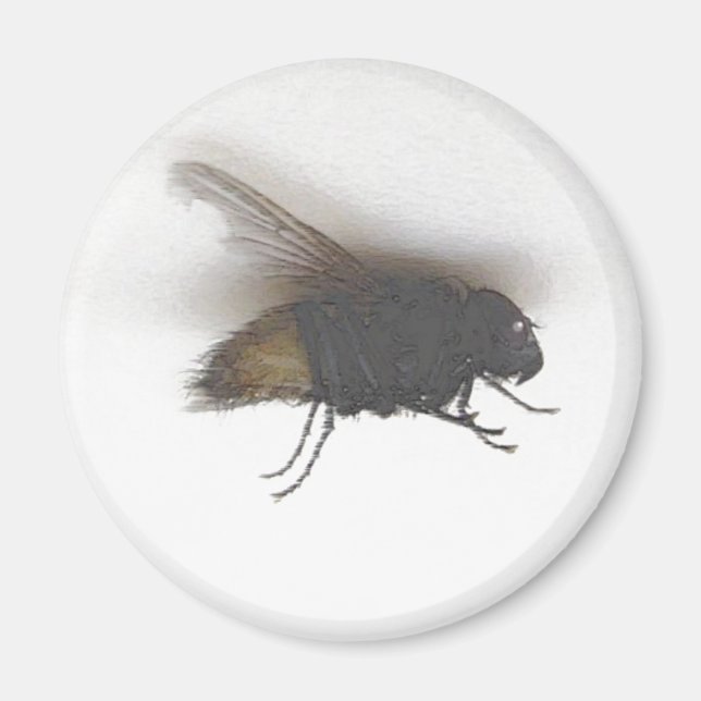 fly magnet (Front)