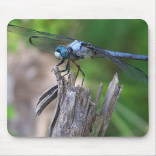 Fly Mouse Mat