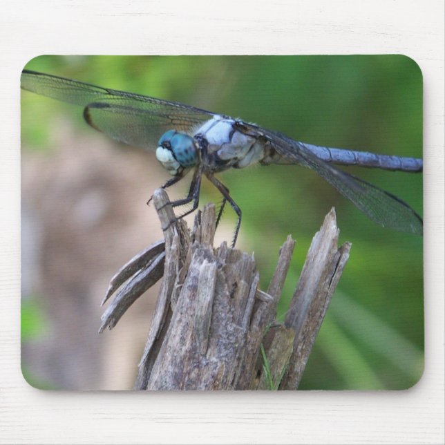 Fly Mouse Mouse Mat (Front)